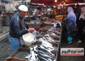 البوري بـ220 جنيها.. أسعار الأسماك والمأكولات البحرية بسوق العبور اليوم الثلاثاء