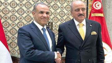 مصر وتونس يبحثان جهود استئناف مفاوضات اتفاق وقف إطلاق النار في غزة