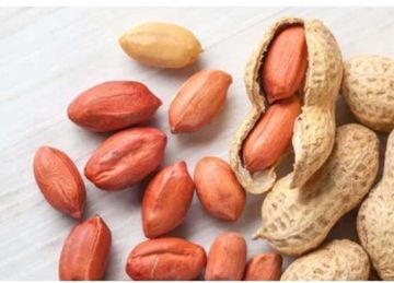 ماذا يحدث لجسمك عند تناول الفول السوداني؟.. فوائد مذهلة وأضرار محتملة