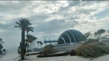 فرقة الإنقاذ بالهلال الأحمر المصري تروي بطولات ليلة عاصفة الإسكندرية