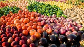 133 ألف طن صادرات غذائية مصرية لـ السعودية والسودان خلال أسبوع 133 ألف طن صادرات غذائية مصرية لـ السعودية والسودان خلال أسبوع