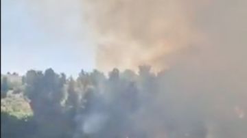 8 طائرات للإطفاء.. حريق هائل في غابات عين كارم بالقدس المحتلة