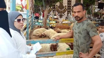 بورسعيد حملة موسعة للتفتيش على الأسواق ومنافذ بيع الحيوانات والدواجن والأسماك