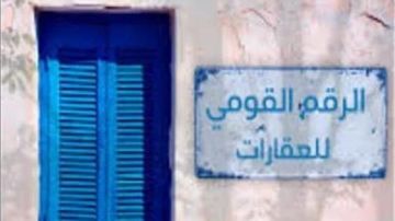 عاجل.. الاتصالات: المواطن سيكتفي بتقديم الرقم القومي العقاري في جميع الإجراءات