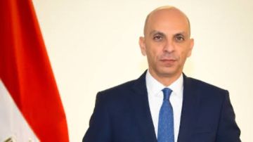 تميم خلاف: الرئيس السيسي يؤكد أهمية عودة الملاحة في البحر الأحمر وباب المندب