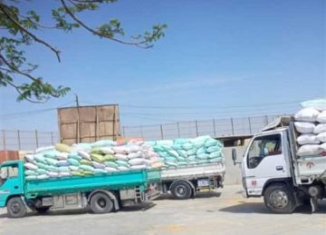 منذ بدء الحصاد.. توريد 591 ألف طن قمح لمواقع التخزين في الشرقية