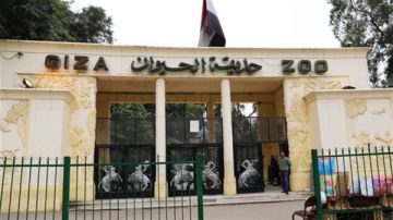 موعد افتتاح حديقة حيوان الجيزة.. تفاصيل عملية التطويل الشاملة