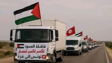 محمد موسى: قافلة الصمود قناع زائف للفوضى والفتنة على حدود مصر