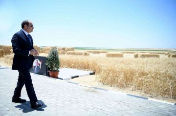 في ذكرى 30 يونيو.. القطاع الزراعى نهضة كبيرة عززت الأمن الغذائى ودعمت القدرة التنافسية للمنتجات المصرية في الأسواق العالمية