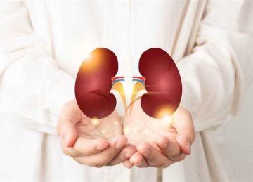 بشرى سارة لـ محبي البطيخ.. 5 فواكه صيفية تدعم صحة الكلى بشرى سارة لـ محبي البطيخ.. 5 فواكه صيفية تدعم صحة الكلى