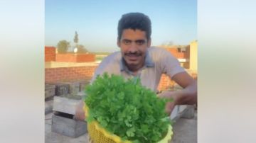 طريقة السمالوسي .. حيلة جديدة لزراعة الخضروات تحقق ملايين المشاهدات طريقة السمالوسي .. حيلة جديدة لزراعة الخضروات تحقق ملايين المشاهدات