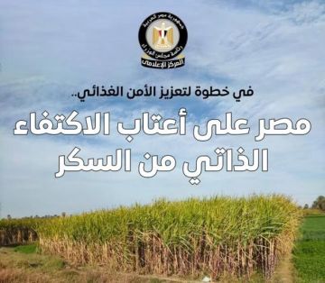 إعلامي الوزراء: مصر على أعتاب الاكتفاء الذاتي من السكر.. والأرصدة تكفي 13 شهرا