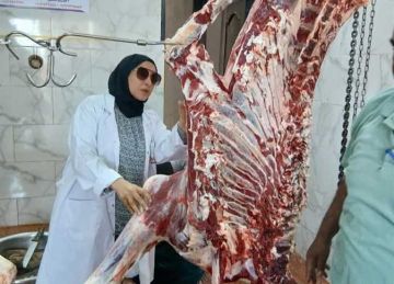 ضبط 4.4 طن لحوم مجهولة المصدر وغير صالحة للاستهلاك الآدمي في الشرقية ضبط 4.4 طن لحوم مجهولة المصدر وغير صالحة للاستهلاك الآدمي في الشرقية