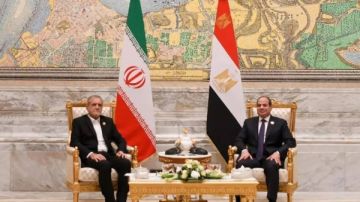 أستاذة علوم سياسية: مصر تدخل بثقلها في الملف النووي الإيراني