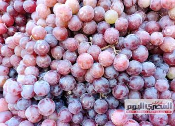 سعر الموز والبطيخ والفاكهة بالأسواق اليوم الأحد 22 يونيو 2025 سعر الموز والبطيخ والفاكهة بالأسواق اليوم الأحد 22 يونيو 2025