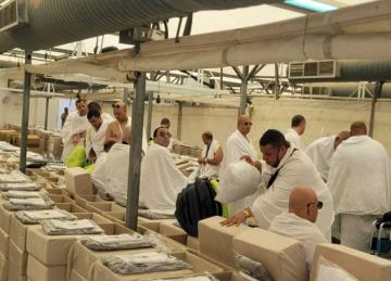  لأداء الركن الأعظم .. بدء تصعيد حجاج السياحة إلى عرفات 