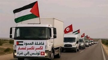 لماذا ترفض مصر دخول قافلة الصمود؟.. خبير استراتيجي يوضح