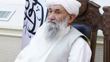 رئيس الوزراء الأفغاني: طالبان تعلن عفوا عاما يشمل المتعاونين مع الولايات المتحدة