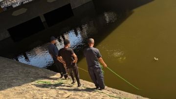 الإنقاذ النهري يبحث عن طـ.فل غرق بالنيل بالصف