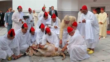 إلغاء شعيرة ذبح الأضاحي في المغرب لأول مرة.. اعرف السبب