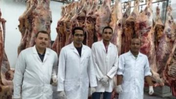 بيطري الوادي الجديد: الانتهاء من ذبح 875 رأسا ضمن مشروع صكوك الأضاحى