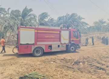 السيطرة على حريق بمنطقة زراعية بمركز الداخلة في الوادي الجديد السيطرة على حريق بمنطقة زراعية بمركز الداخلة في الوادي الجديد