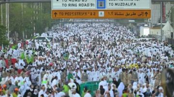 الشؤون الدينية بالحرمين: موسم الحج هذا العام استثنائي لم يحدث منذ 40 عاما