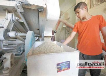 بكم الكيلو الأبيض؟.. سعر الأرز اليوم الثلاثاء 3 يونيو 2025 في الأسواق وقائمة السلع بكم الكيلو الأبيض؟.. سعر الأرز اليوم الثلاثاء 3 يونيو 2025 في الأسواق وقائمة السلع