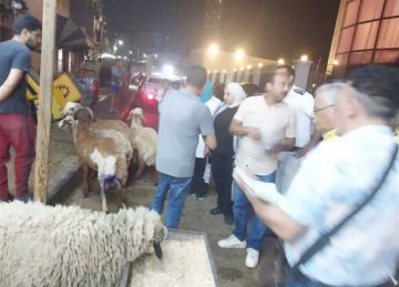 غرامات فورية على محال جزارة مخالفة بمنطقتي كرموز ومينا البصل بـ الإسكندرية