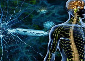 في اليوم العالمي لـ MS .. خبراء يحذرون: التصلب المتعدد يهاجم الشباب.. وأدوية حديثة تدعم المرضى في اليوم العالمي لـ MS .. خبراء يحذرون: التصلب المتعدد يهاجم الشباب.. وأدوية حديثة تدعم المرضى