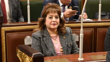 خارجية النواب: 30 يونيو كانت لحظة فارقة وحاسمة في تاريخ الوطن