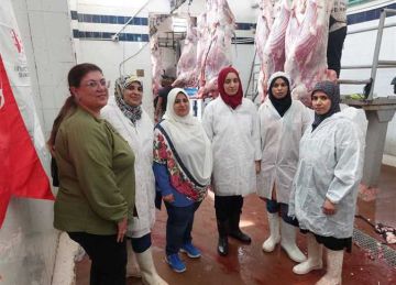 ذبح 577 رأس بلدى و6045 رأس مستورد خلال أيام عيد الأضحى بمجازر البحر الأحمر