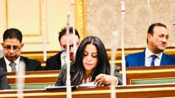 أفريقية النواب: مصر تتبني نهج دبلوماسي راسخ في التعامل مع القضايا الإقليمية