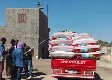 منذ بداية الحصاد.. 596 ألف طن قمح تدخل شون وصوامع الشرقية