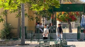 الزراعة: حدائق الحيوان الإقليمية والأسماك بالزمالك استقبلت أكثر من 38 ألف زائر خلال أول يومين للعيد