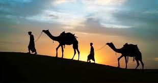 الهجرة النبوية.. أين اختفت الجمال الثلاثة عن أعين المشركين؟ معجزات ربانية