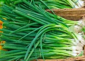 لماذا يجب تناول البصل الأخضر باستمرار؟.. خبير يجيب