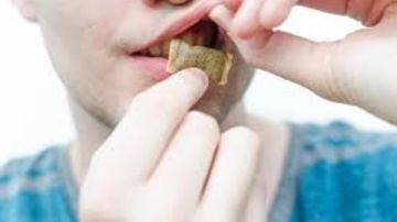 نشرة المرأة والمنوعات السنوس أغرب بديل للتدخين.. أطعمة لطلاب الثانوية العامة يجب تناولها فى الامتحانات