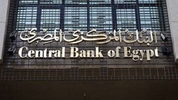 البنك المركزي: 29.4 مليار دولار تحويلات المصريين بالخارج خلال 10 شهور