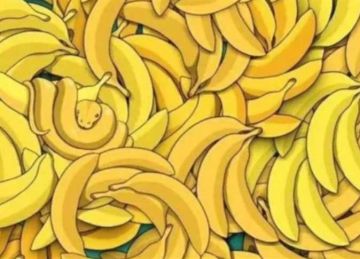  5 استراحة .. اعثر على الحيوان المخفي بين الموز في 5 ثوان