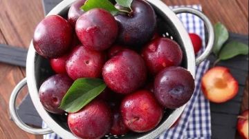 نشرة المرأة والمنوعات .. هذا ما يحدث للجسم عند تناول البرقوق علامات قوية تكشف عن وجود تليف الكبد نشرة المرأة والمنوعات .. هذا ما يحدث للجسم عند تناول البرقوق علامات قوية تكشف عن وجود تليف الكبد