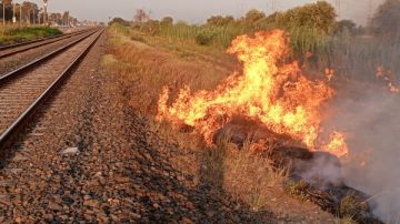 إخماد حريق هائل بمخلفات أراض زراعية بخط السكك الحديدية طنطا ـ كفر الزيات