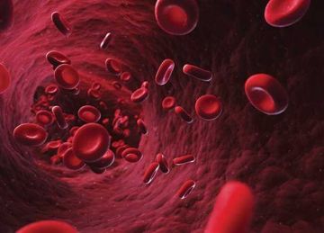 الليمون سيصبح صديقك المفضل.. 5 نصائح فعالة لـ مرضى الأنيميا