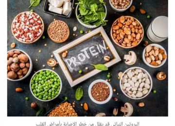 أبرزها اللب الأبيض.. 4 مصادر لـ البروتين أوفر وأكثر جودة من الفراخ أبرزها اللب الأبيض.. 4 مصادر لـ البروتين أوفر وأكثر جودة من الفراخ