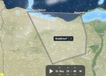 صاحبة دراسة الظواهر الطبيعية المتطرفة عن عاصفة الإسكندرية: النهاية قربت 