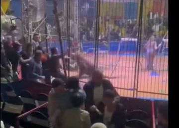 قرار قضائي عاجل بواقعة اتهام أنوسة كوتة بالتسبب في بتر ذراع عامل سيرك طنطا