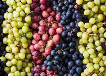 أسعار الفاكهة اليوم الأربعاء 11 يونيو 2025 في أسواق الأقصر