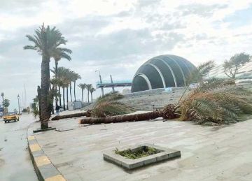 الحكومة تتخذ إجراءات لمواجهة تغير المناخ .. ومصر ضمن الدول الأكثر تأثرا عالميا الحكومة تتخذ إجراءات لمواجهة تغير المناخ .. ومصر ضمن الدول الأكثر تأثرا عالميا