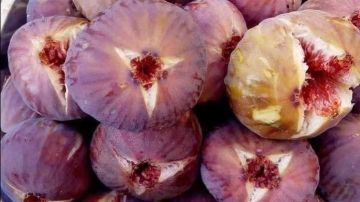 الممنوعون من فاكهة الصيف.. 5 فئات محظور عليها تناول التين البرشومي