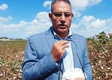 بزيادة 1 عن العام الماضي.. زراعة 923 فدان قطن في الإسكندرية بزيادة 1 عن العام الماضي.. زراعة 923 فدان قطن في الإسكندرية